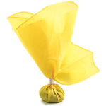 Official's Penalty Flag