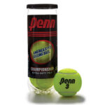 Penn Championship Tennis Balls (3/Can)